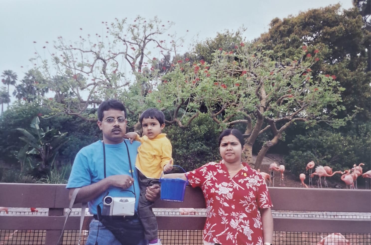 Parents